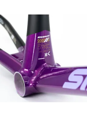Stay Strong V5 Disc Only Frame 2025 Purple/Black